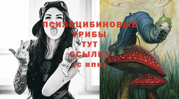 наркотики Новодвинск